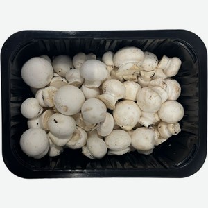 Шампиньоны подрезанные мини 250г