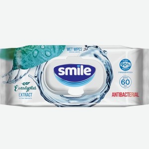 Салфетки влажные Smile W 60 шт Антибактериальные с эвкалиптом с клапаном