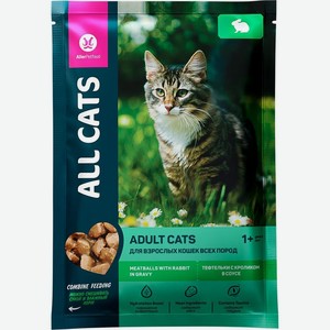 Корм влажный All Cats Тефтельки с кроликом в соусе полнорационный для взрослых кошек 85г, 85 г
