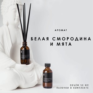 BANKA HOME Ароматический диффузор  Белая смородина и мята , 50 мл