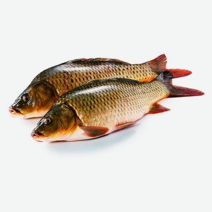 Сазан охлажденный неразделанный, вес цена за 1 кг