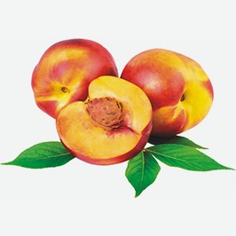 Нектарин импорт