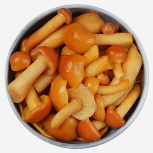 Грибы опята маринованные Гурме 270г, 270 г