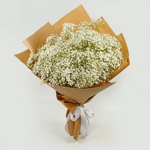 Яяцветок Гипсофила Белая Шт