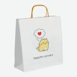 Пакет SSPV Сити Хоум Трейд Bestie 18*16*6см в ассортименте