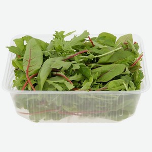 Салатный микс Руккола-Мангольд-Мизуна в ассортименте 75г