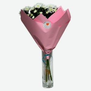 Букет живых срезанных цветов №23 Воздушный из 5 хризантем в упаковке в ассортименте с ароматом, 1 шт