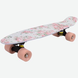 Пенниборд LS-P2206D 60*45см в ассортименте