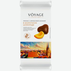 Пряники Voyage Fantastique с абрикосовой начинкой в молочном шоколаде, 150г