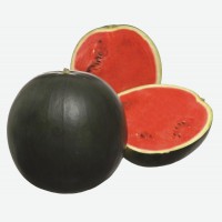 Арбуз   Чёрный принц   с низким количеством семян