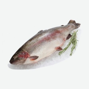 Форель охлажденная Севанская, вес цена за 1 кг