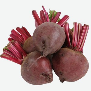 Свекла молодая свежая