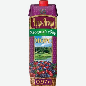 Морс Чудо-Ягода Ягодный сбор 0.97л, 970 мл