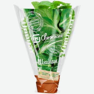 Шпинат в горшочке 100г