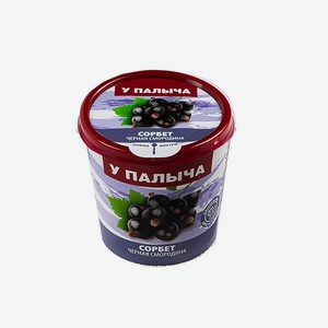 Сорбет Черная смородина 90 г