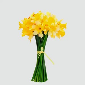 Нарциссы, букет из 15 цветов