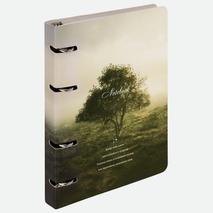 BRAUBERG Тетрадь на кольцах 120 листов Природа, Мультицвет