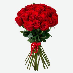 Букет живых срезанных цветов из 25 роз в упаковке в ассортименте h 40 см, 1 шт