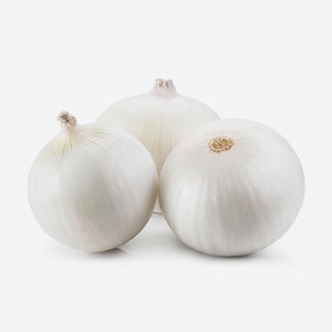 Лук серебристый белый, вес