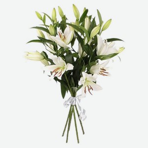 Букет живых срезанных цветов Лилия ароматная из 3 лилий в упаковке в ассортименте h 40 см, 1 шт