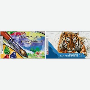 Альбом Полиграф Принт для рисования 40л в ассортименте 1шт., 1 шт