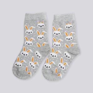 Носки детские INWIN 1 пара, зайцы, высокая посадка, р.14-22 FKSG-01-RB, Россия