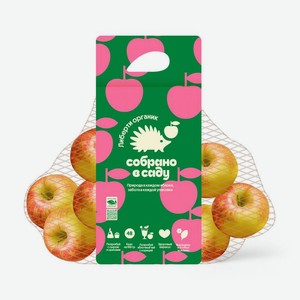 Яблоки Собрано В Саду Либерти Органик