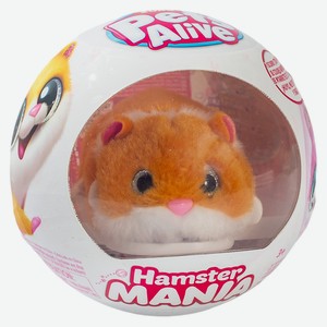 Игровой набор ZURU PETS ALIVE в непрозрачной упаковке Hamste