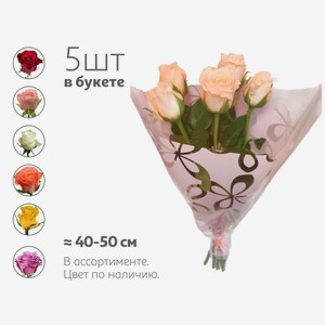 Букет живых срезанных цветов Монобукет Розы из 5 роз в упаковке в ассортименте h 40-50 см, 1 шт
