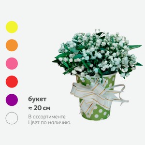 Букет живых срезанных цветов в стакане микс в ассортименте h 20 см, 1 шт