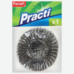 Губка для мытья посуды Paclan металлическая 1шт