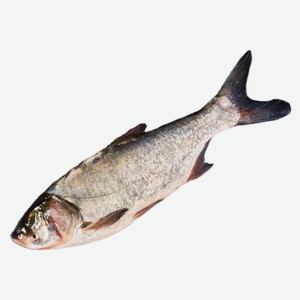 Толстолобик с/г непотр охл кг