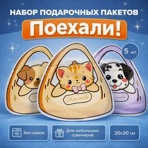 Набор пакетов с зип-лок замком  Поехали! , PARTY, 5 шт., в ассортименте