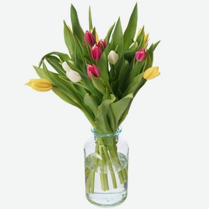 Тюльпаны разноцветные, 15шт