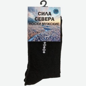 Носки мужские Большая семья демисезонные черные р.29 (43-44)