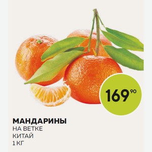 Мандарины На Ветке Кг