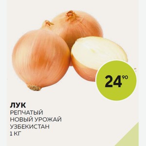 Лук Репчатый Новый Урожай Кг