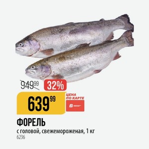 КАРТЕ ФОРЕЛЬ с головой, свежемороженая, 1 кг