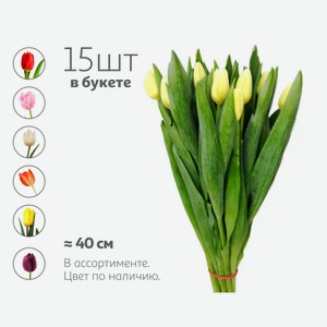 Букет живых срезанных цветов из 15 тюльпанов в упаковке в ассортименте h 40 см, 1 шт