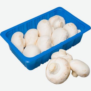 Шампиньоны свежие для гриля 700г, 700 г