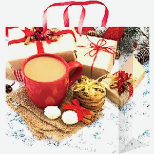 Пакет подарочный 26*32.4см НГ