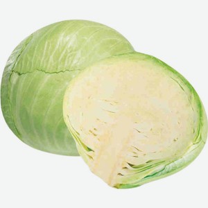 Капуста белокочанная ранняя, Цена за 1 кг