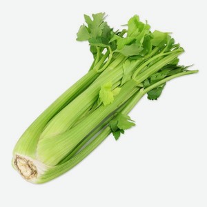 Сельдерей стебель
