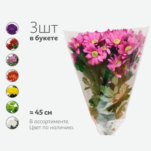 Букет живых срезанных цветов Монобукет Хризантема из 3 хризантем в ассортименте h 45 см, 1 шт
