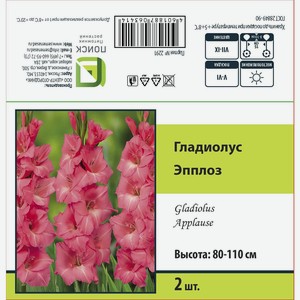 Гладиолус крупноцветковый Эпплоз 2 шт.