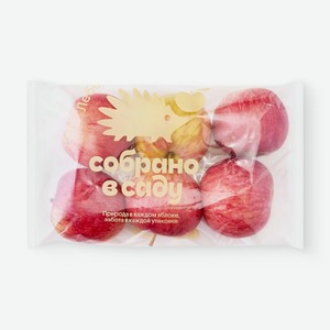 Яблоки Собрано В Саду свежие, 6шт, 720 г