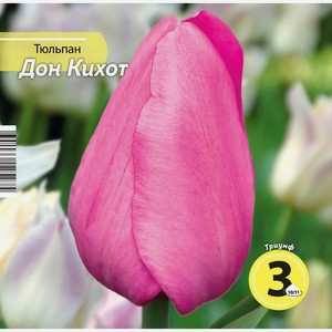 Луковичные РУССКИЙ ОГОРОД Тюльпан Дон Кихот 10/11 ярко-розовый 125142, Россия, 3 шт