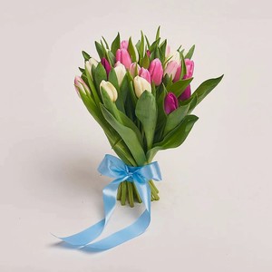 AZALIANOW ЦВЕТЫ. ПОДАРКИ. ДЕКОР Букет из 25 разноцветных тюльпанов, Букеты и композиции из живых цветов могут на несколько тонов отличаться от изображений. Часть цвета искажается в зависимости от настроек экрана.