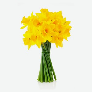 Букет живых срезанных цветов Моно Нарцисс из 15 нарциссов в упаковке в ассортименте h 30 см, 1 шт