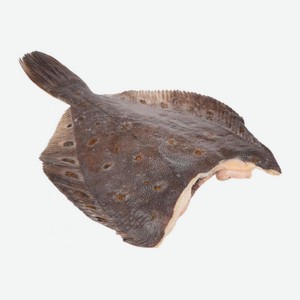 Камбала вес